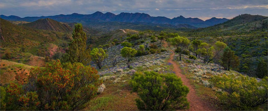 Australian Art & Outback Landscapes of the Flinders Ranges 