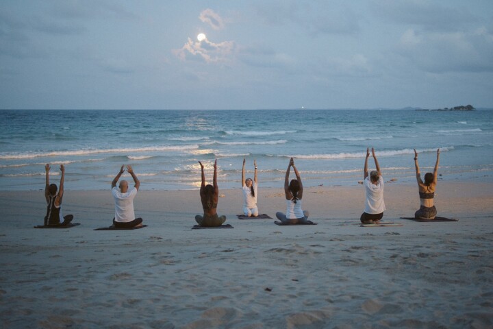Wellness