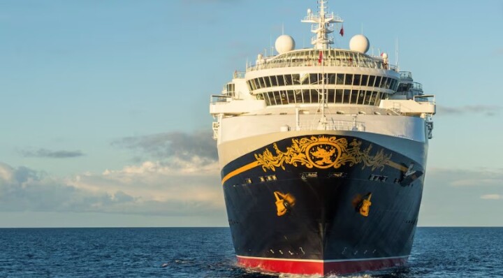 Disney Magic