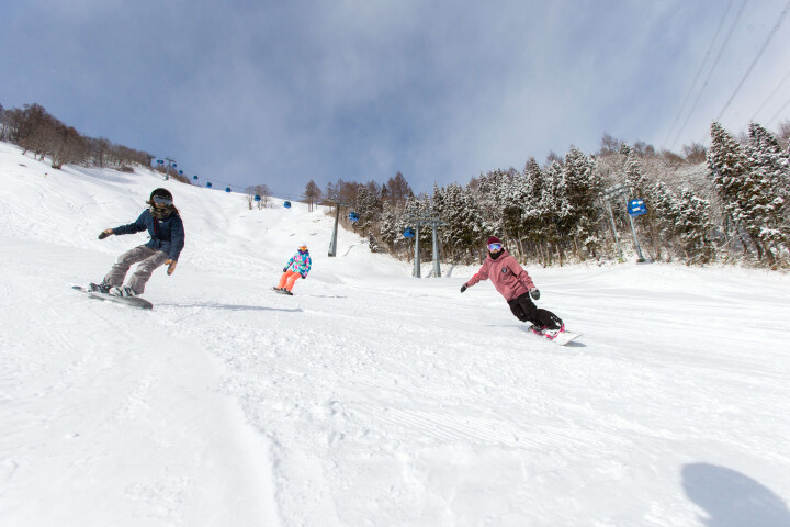Keen skier? Hosted Group Tour to Japan
