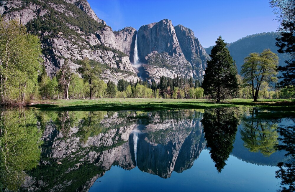 AdobeStock 1396800 copy