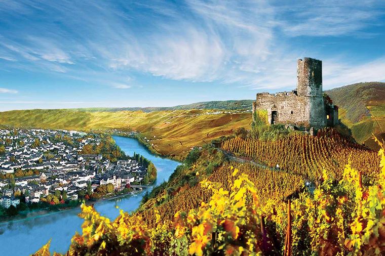 Ama   rhine