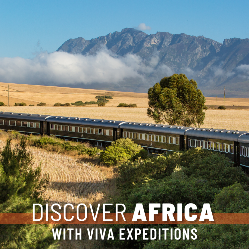 Discover Africa 3   train