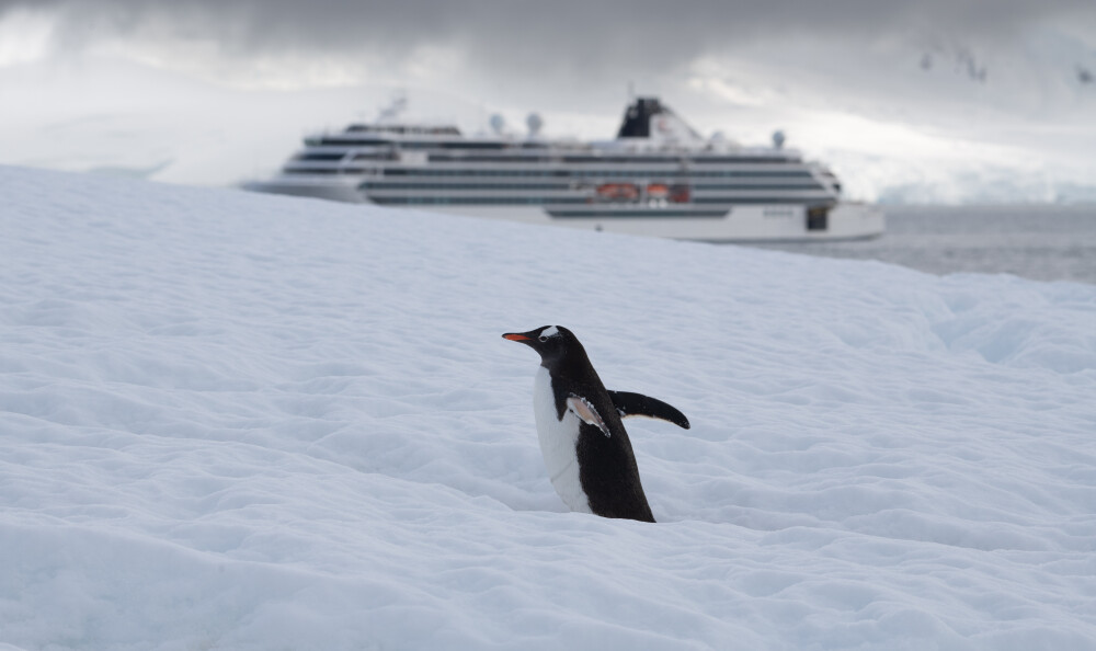 Expedition Ship Antarctica 2023 07 27 23 17 34