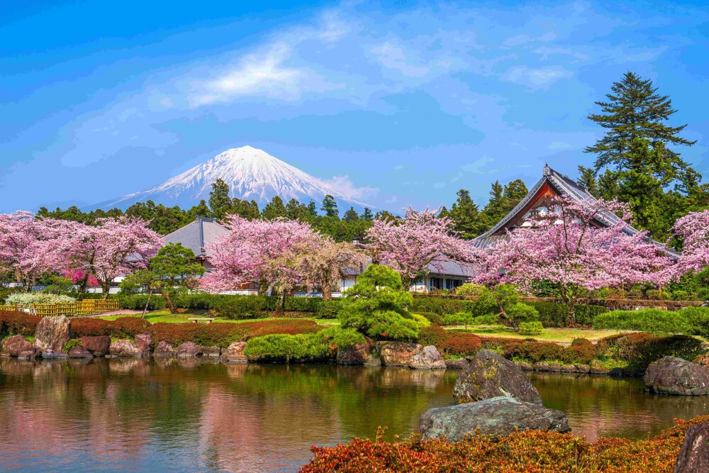 Fujinomiya, Shizuoka, Japan with Mt. Fuji in spring.shutterstock 1907068117