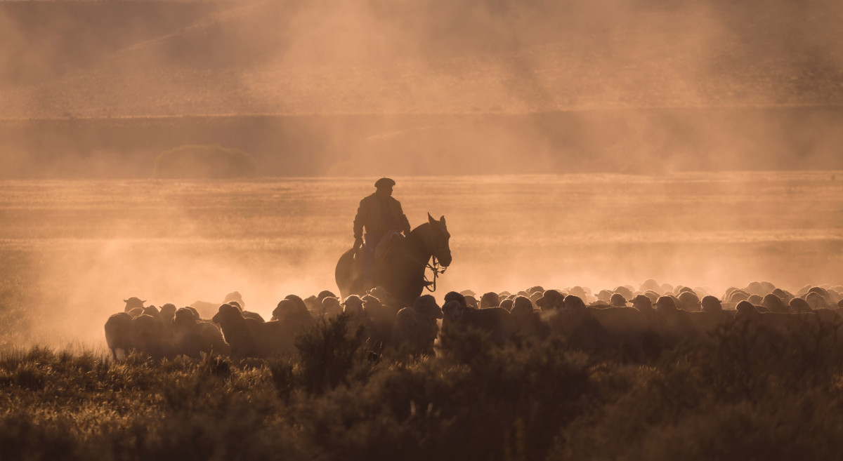 Gaucho Patagonia