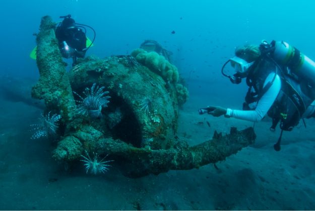Heritage Park   Diving