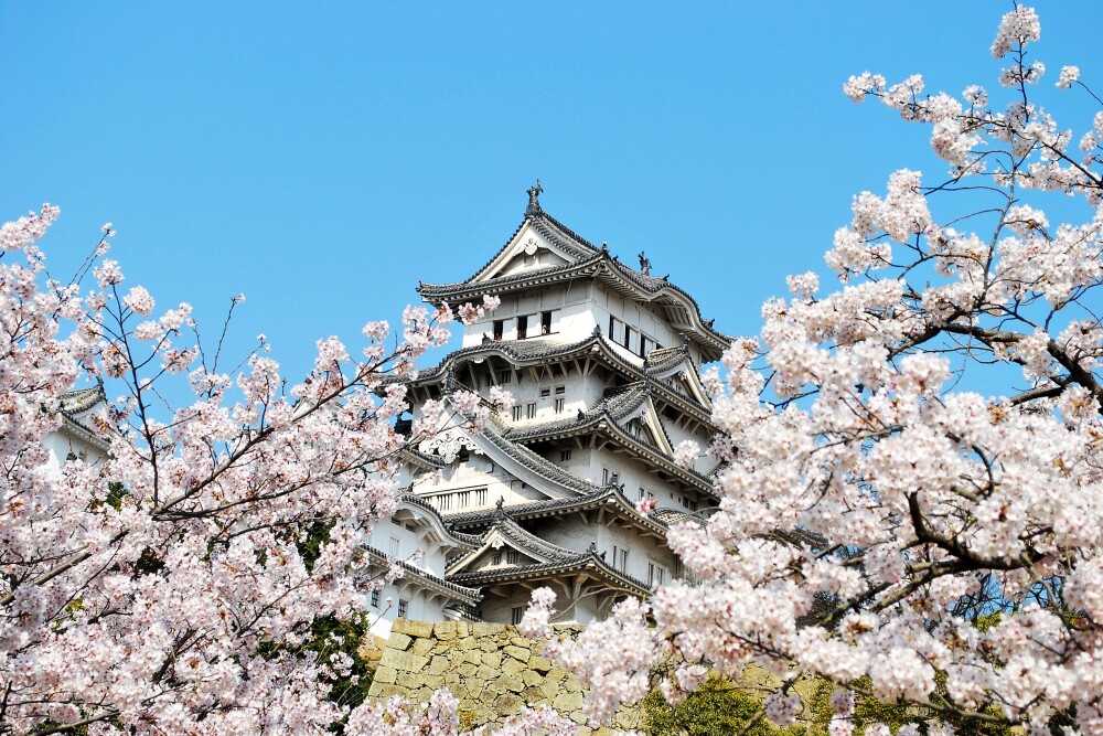 HimejiCastle 13127658 J