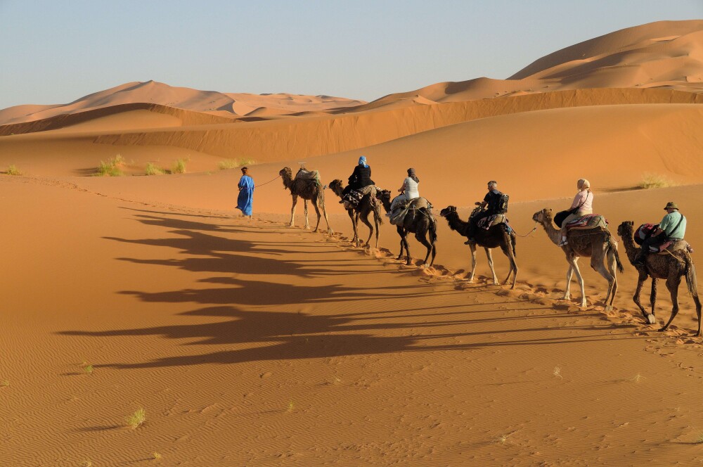 Intrepid Travel morocco desert camels travellers shadow resized