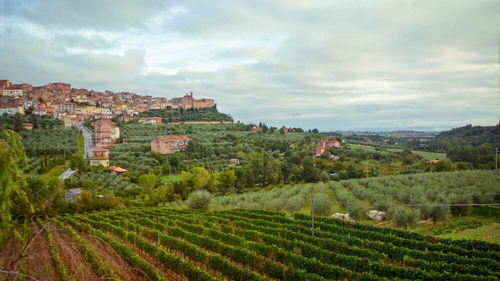 Italy Tuscany Vineyard Landscape resized