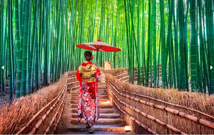 Japanese lady