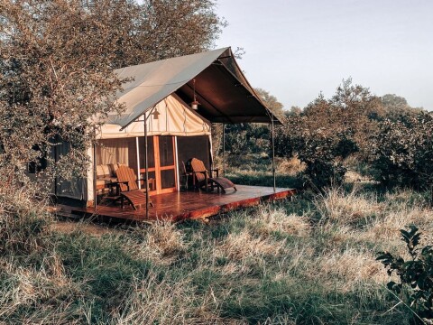 Magical Cape Town, Winelands and Safari