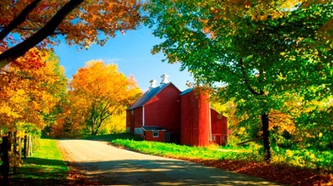 New England Fall Foliage