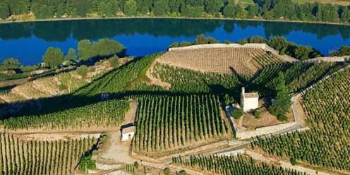 Rhone Valley Vineyard Hike