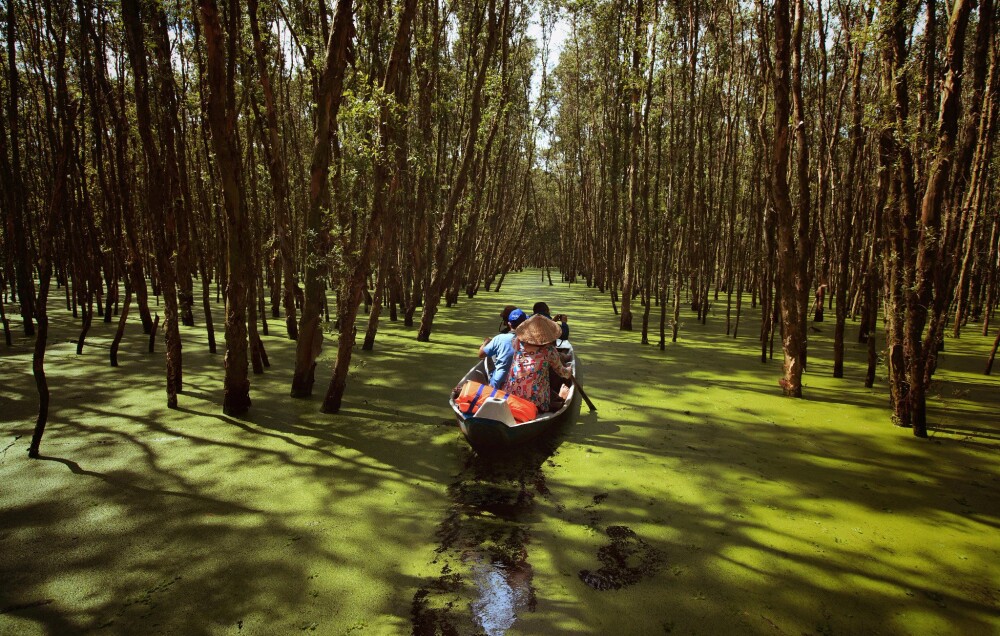 Riches of the Mekong HERO TraSuCajuput