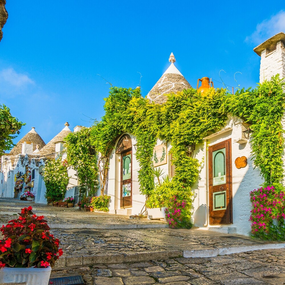 Secrets of Puglia   Alberobello