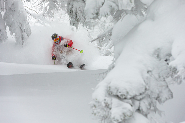 Shiga Kogen WEB