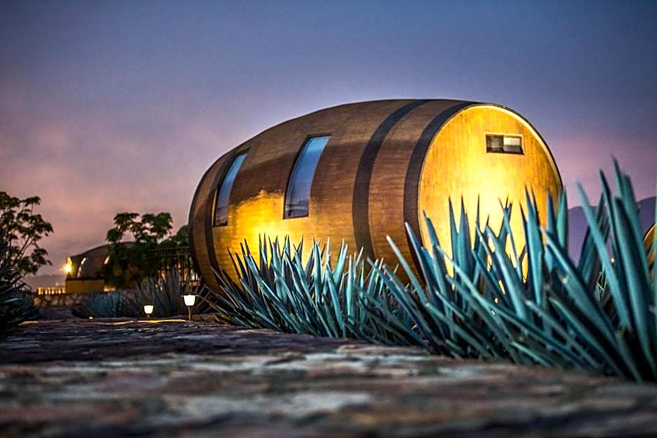 Tequila Barrel room