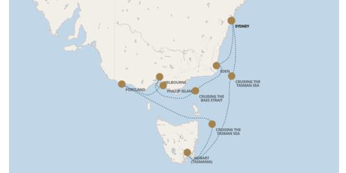 Untitled (510 x 250 px) (11)