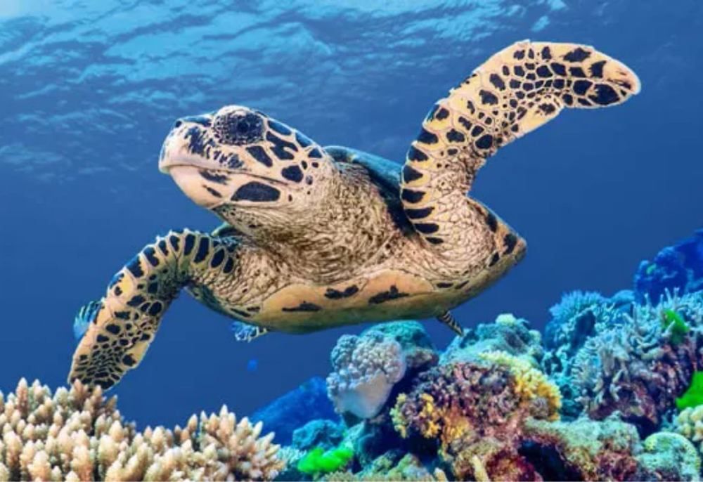 Untitled design   2026 03 21T215330.254