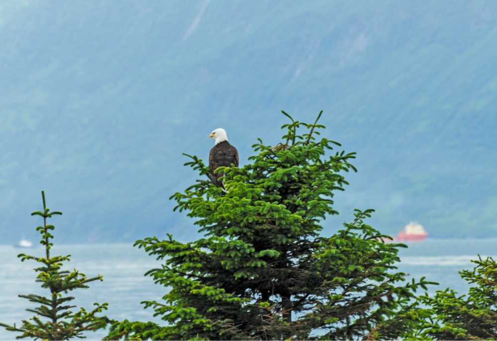 Untitled design   2026 03 22T113703.352