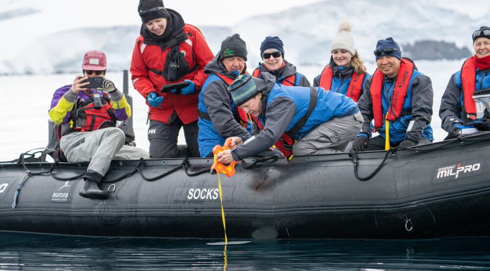 Website Screen Citizen Science Antarctica Jamie Lafferty