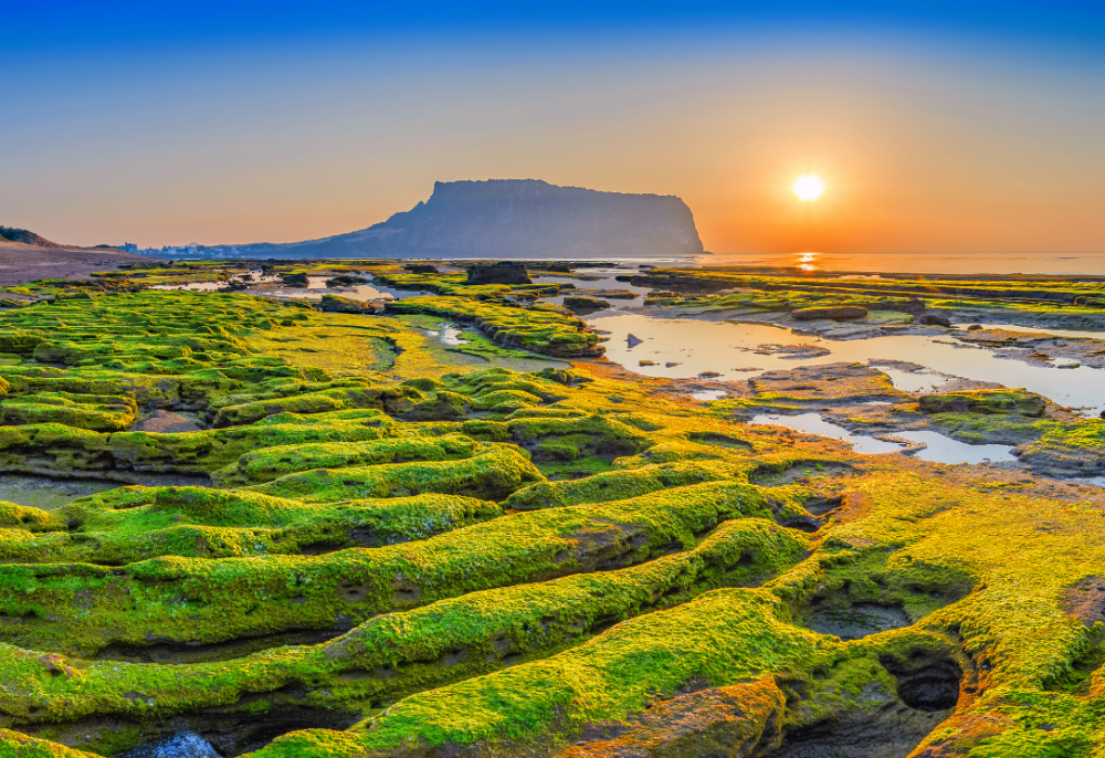 Whittier, Alaska (44)