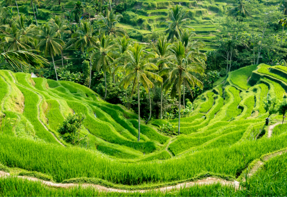 Whittier, Alaska (65)