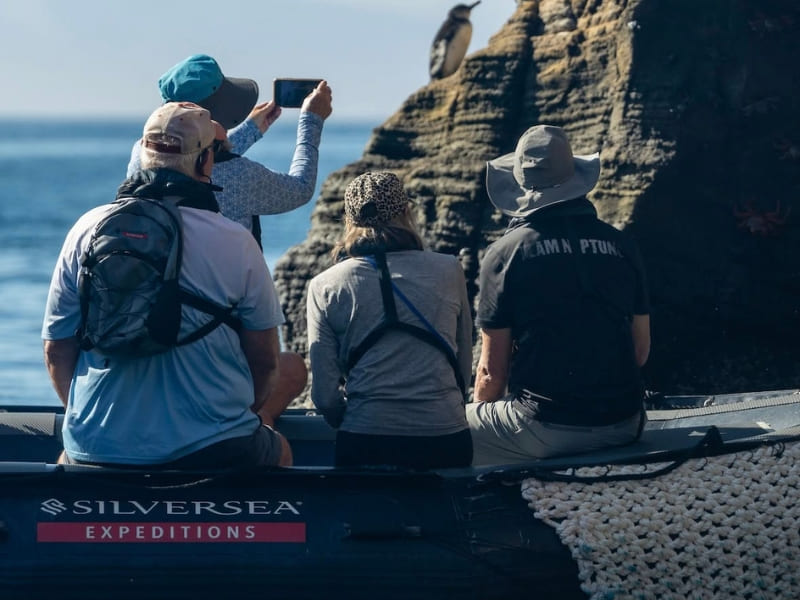 World Travellers Silversea Expedition Cruising landing page images Expert Led Exploration