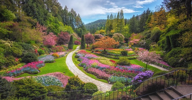 Butchart Gardens