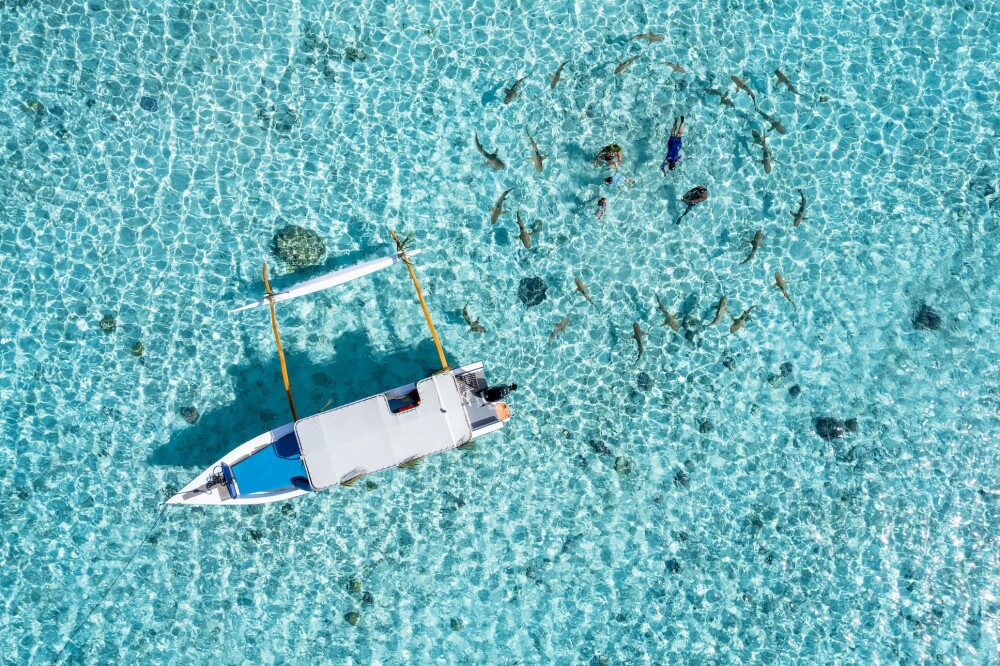 P2 BORA BORA BORA BORA SWIMMING WITH SHARKS IN BORA BORA SMAILION  Stephane Mailion Photography copy