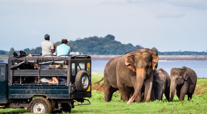 Minneriya National Park