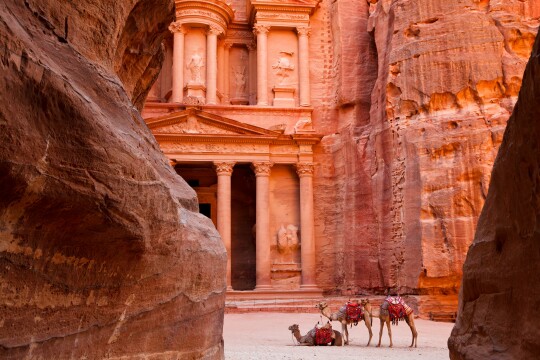 Petra to the Pyramids