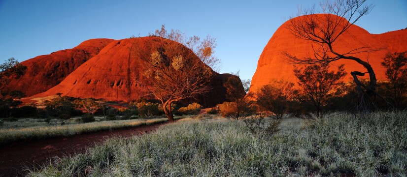 Outback Adventure