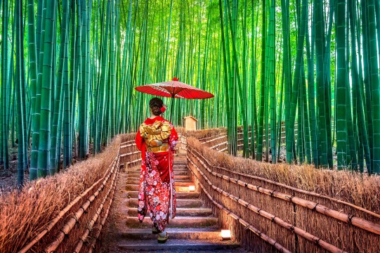 Japan Uncovered: A World Travellers Exclusive Tour