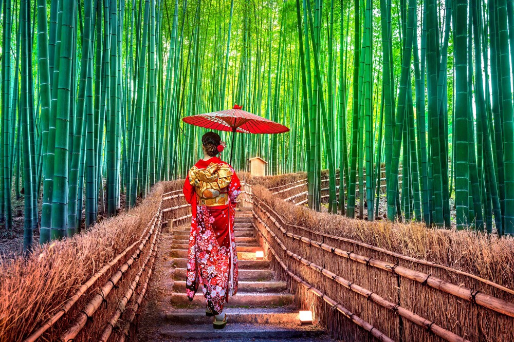 HR SS 1028137558 Bamboo Forest Kyoto Japan resized
