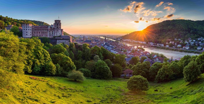 Active Discovery on the Rhine 