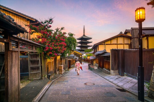 Cosmos | Classic Japan: Land of the Rising Sun