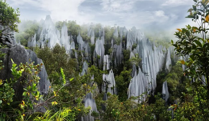 Mulu National Park