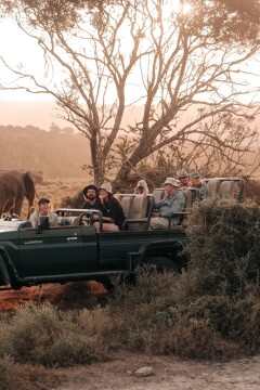 Big Five & Beyond: A Luxury Escorted South Africa & Swazi Safari