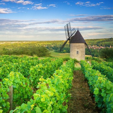 Paris to Nice through Vineyards and Mountains