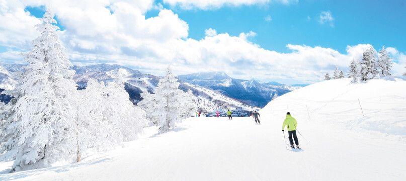 Ski Shiga Kogen, Japan