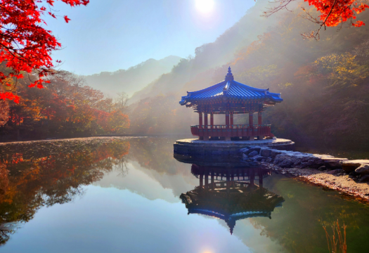 South Korea In Depth