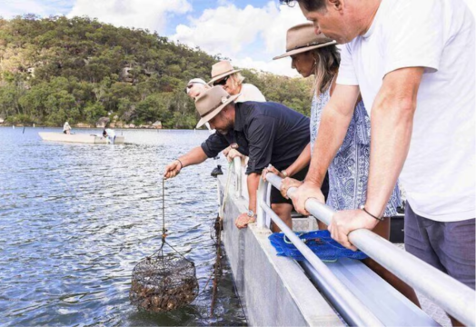 Broken Bay Pearl & Oyster Farm Tours
