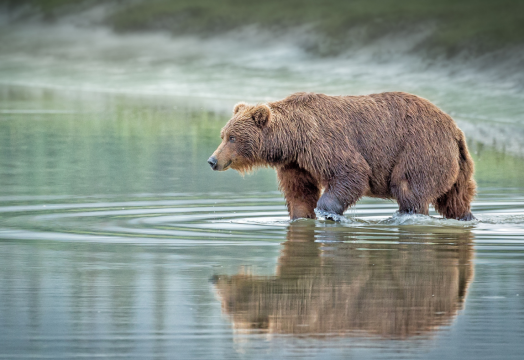 North Pacific Passage