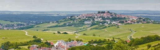 Vineyards, Villages and the Riviera