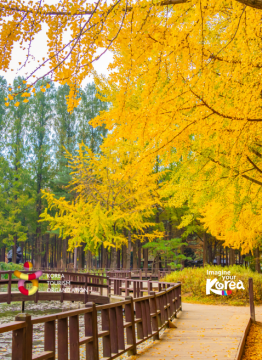 Discover South Korea