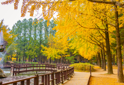 Discover South Korea