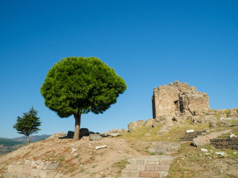 ANZAC Memorial Tour of Turkey - On The Go Tours