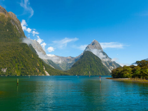 Australia and NZ 